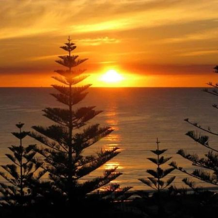 Acacia Holiday Or Business Stay - Quiet Location Perth Exterior foto